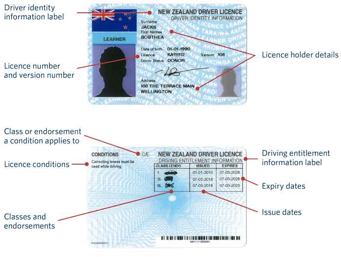 New Zealand Driver Licence